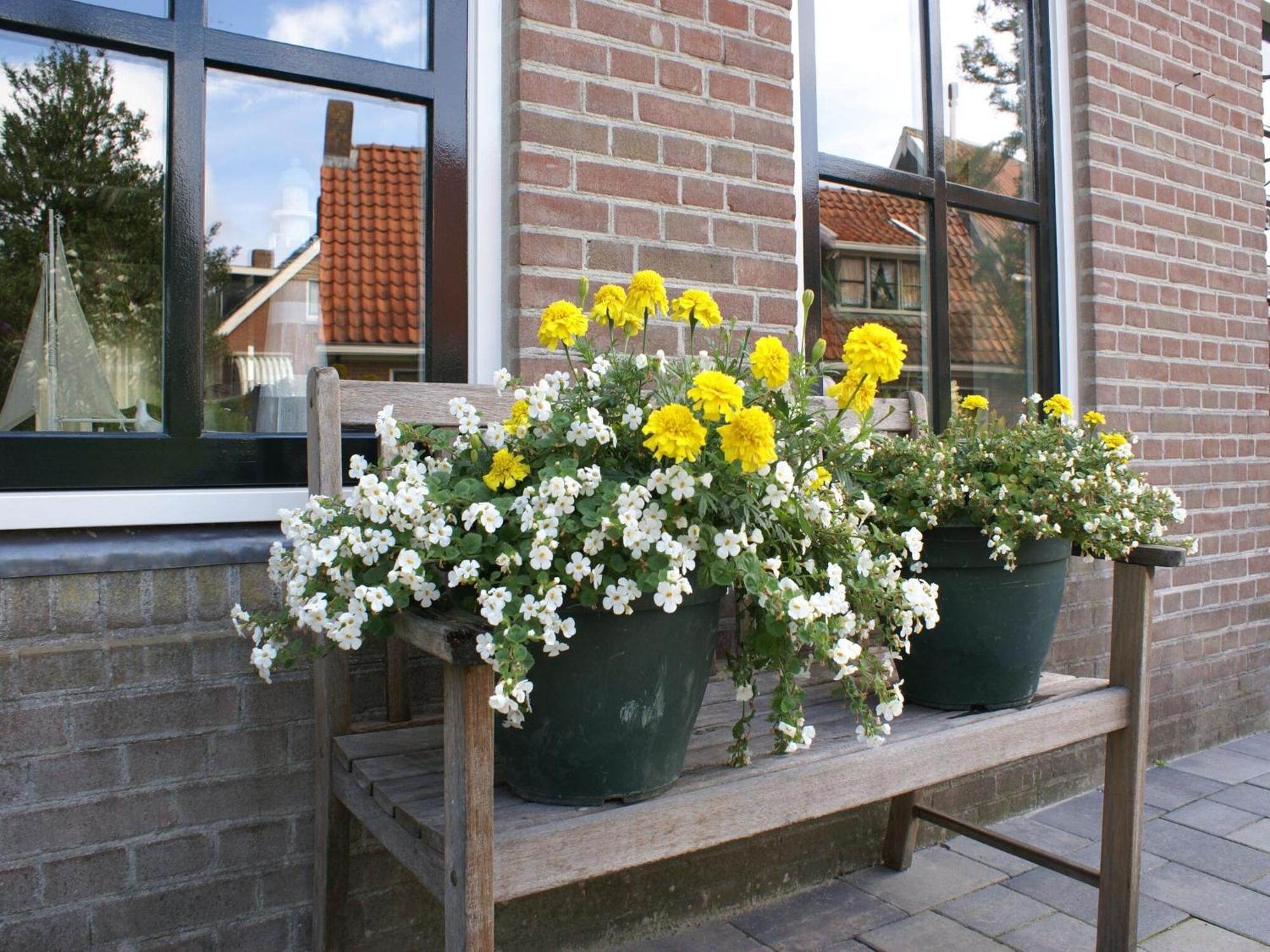 Fantastic Luxury Vacation Home And Next To The Wadden Sea Paesens エクステリア 写真
