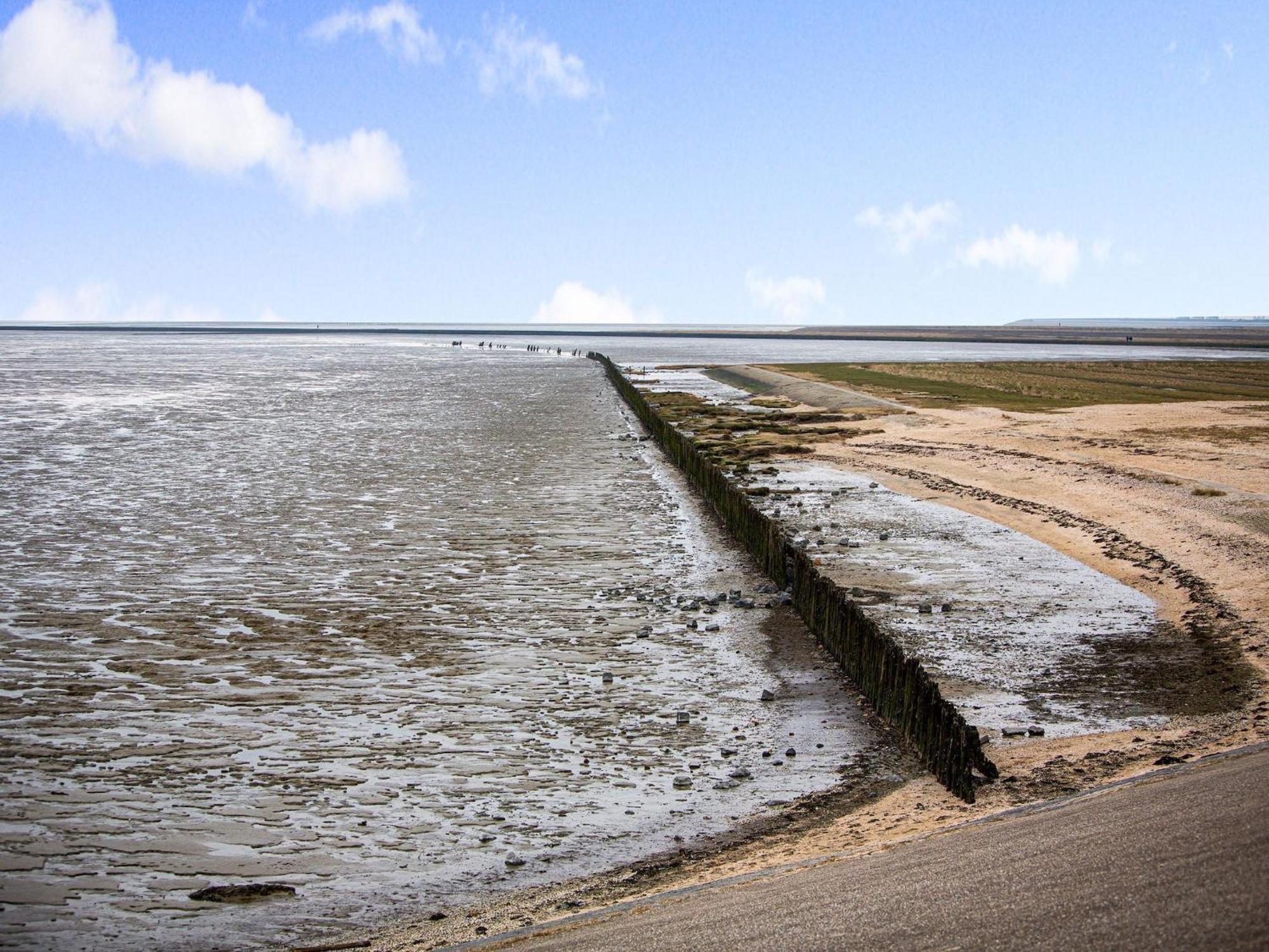 Fantastic Luxury Vacation Home And Next To The Wadden Sea Paesens エクステリア 写真
