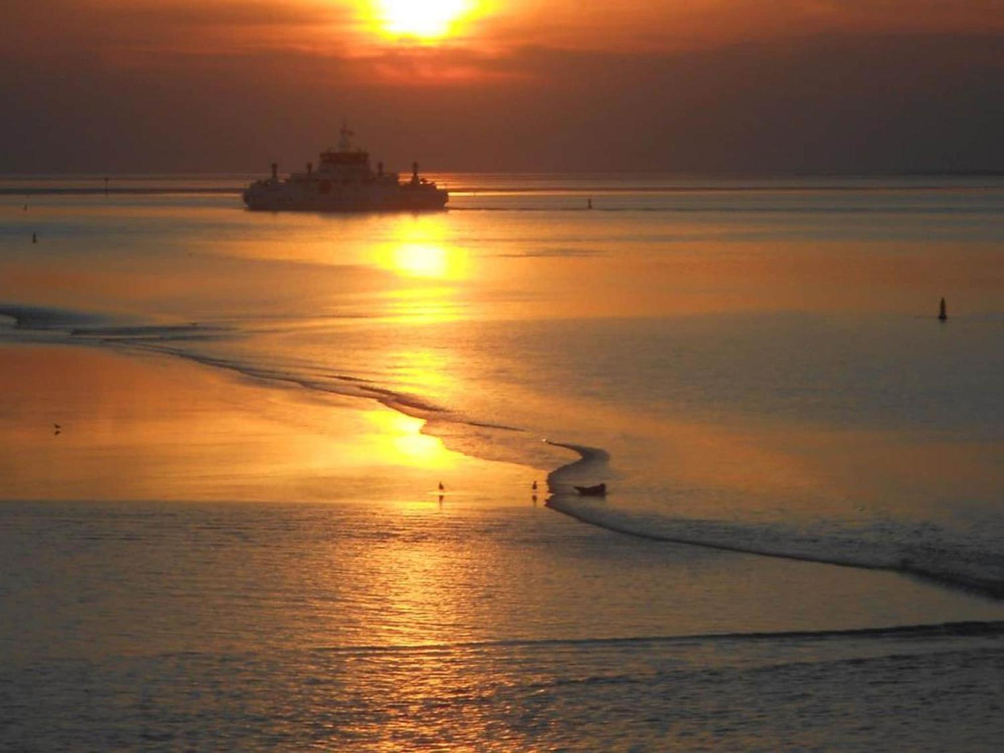 Fantastic Luxury Vacation Home And Next To The Wadden Sea Paesens エクステリア 写真