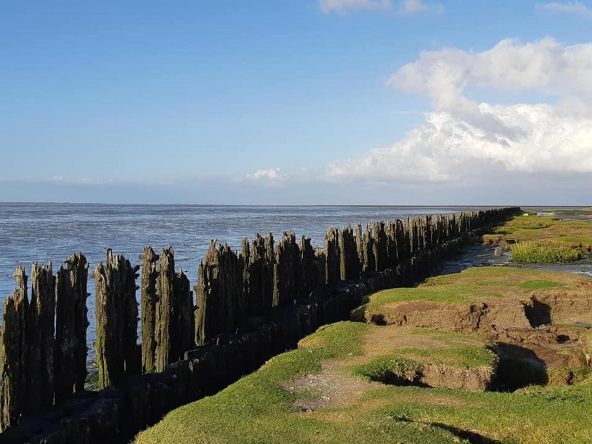 Fantastic Luxury Vacation Home And Next To The Wadden Sea Paesens エクステリア 写真